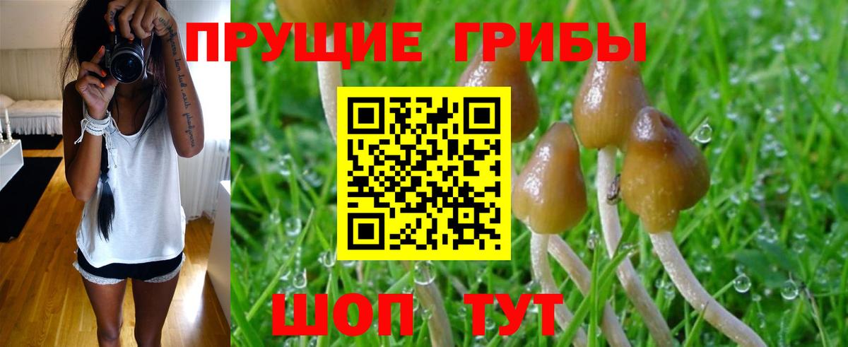 Псилоцибиновые грибы мухоморы Артём